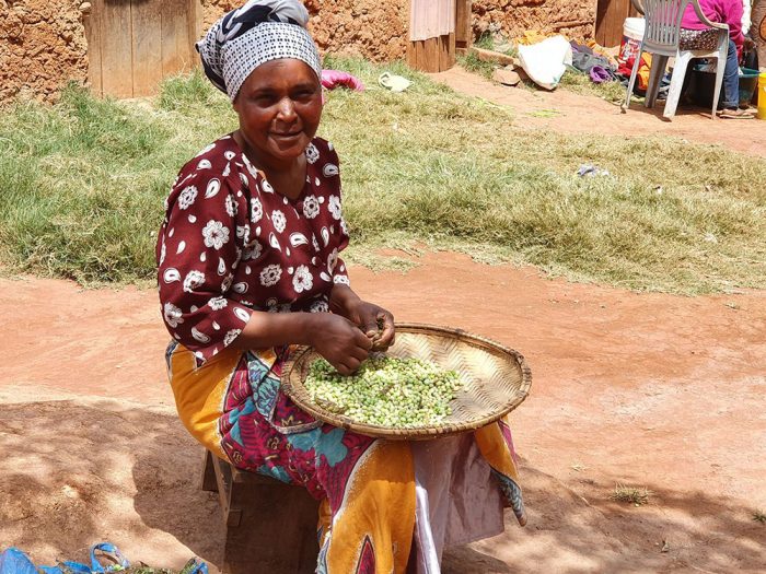 Communication, Language, and Culture in East Africa